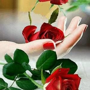 Meet your Posher, Ana